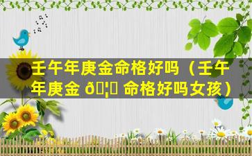 壬午年庚金命格好吗（壬午年庚金 🦟 命格好吗女孩）